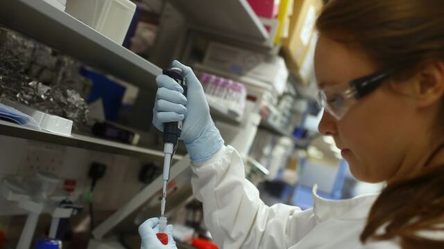 Ebola aşısının etkili olmadığı belirlendi