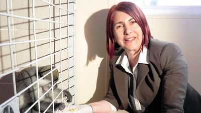 Firari Charlie'den 'tabaklı' savunma