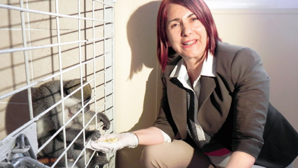 Firari Charlie'den 'tabaklı' savunma