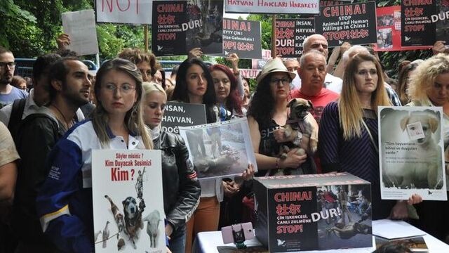 İstanbul'da, Çin köpek eti festivaline protesto