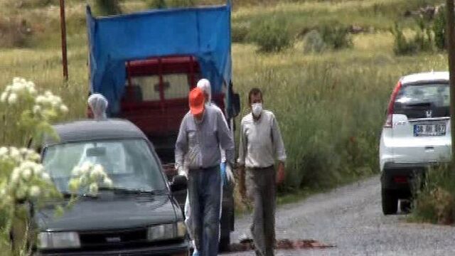 Kayseri'de kuş gribi şüphesi!