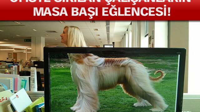 Ofis çalışanlarının canı sıkılırsa...