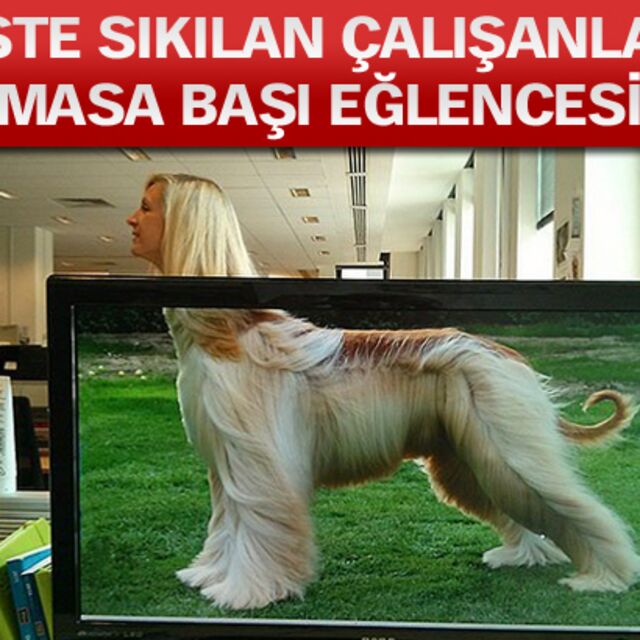 Ofis çalışanlarının canı sıkılırsa...