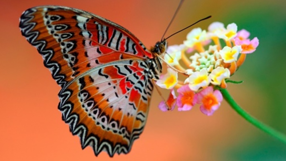 Türkiye'nin en değerli şeyini çalıyorlar!