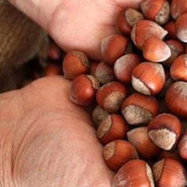 10 bin işçiye ihtiyaç var