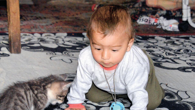 Evlerinde doğuran kedi için yardım istediler, mama yağdı