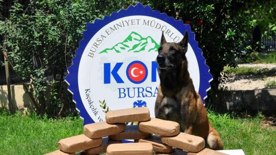 Bursa'da uyuşturucu operasyonu