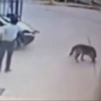 Bu korkunç olay karakolun bahçesinde yaşandı