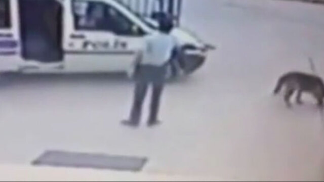 Bu korkunç olay karakolun bahçesinde yaşandı