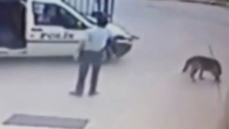 Bu korkunç olay karakolun bahçesinde yaşandı