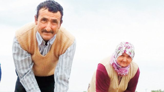 Tarlada ikinci hayat