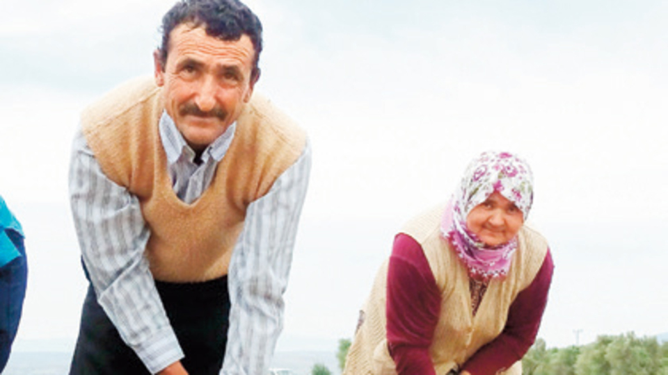 Tarlada ikinci hayat