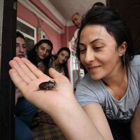 Dünyanın en pahalı ve en güçlü böceği!