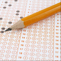 TEOG'da Tunceli mucizesinin sırrı!