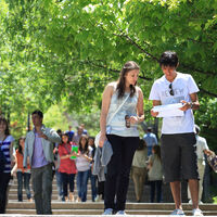 Üniversite tercih rehberi!