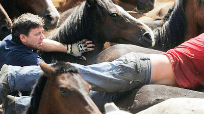 Erkekler atların peşinde
