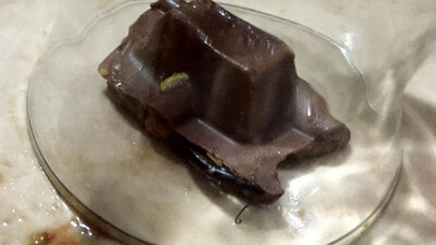 Yediği çikolatadan çıkan dehşete düşürdü!