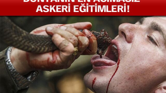 Kan donduran eğitim!