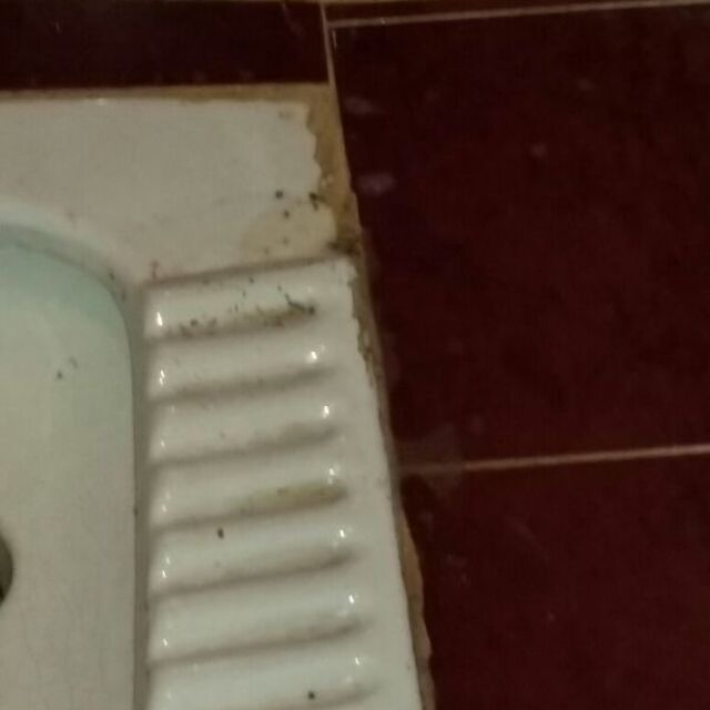 Polis kapıya dayanınca tuvalete attılar