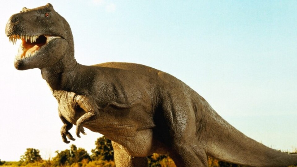 Resmi Gazete'de yayımlandı