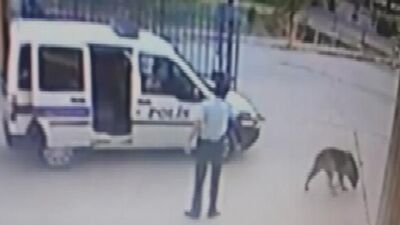 Köpek vuran polis açığa alındı