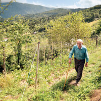 'Kıymayın bu doğaya'