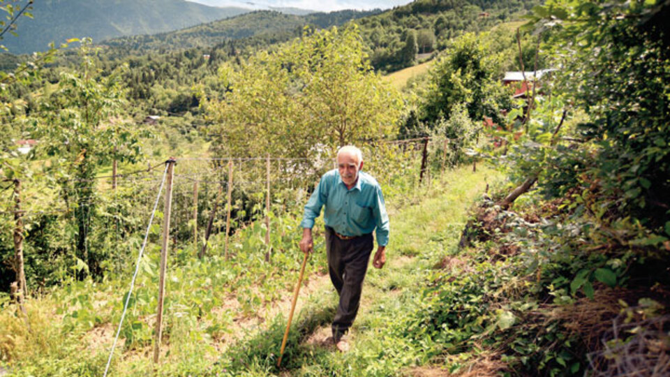 'Kıymayın bu doğaya'