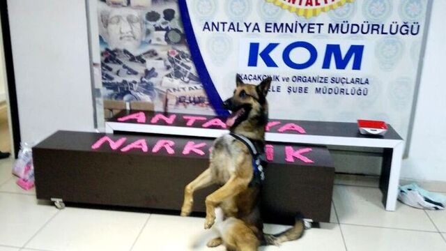 Karavanla ecstasy sevkiyatı 'Liza'ya takıldı
