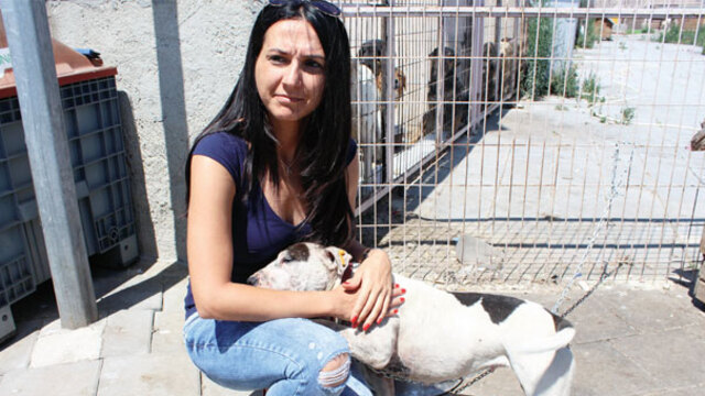 Madde bağımlıları hayvan barınağına saldırdı