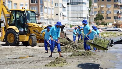 İstanbul'un plajları temiz!