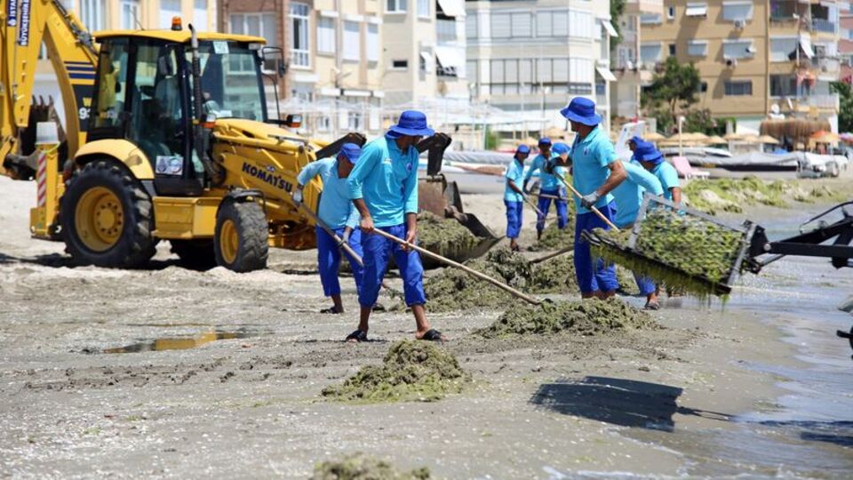İstanbul'un plajları temiz!