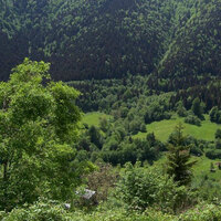 "Maden, Artvin'in beyninde altın ur"