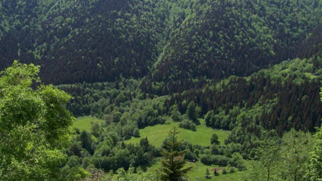 "Maden, Artvin'in beyninde altın ur"