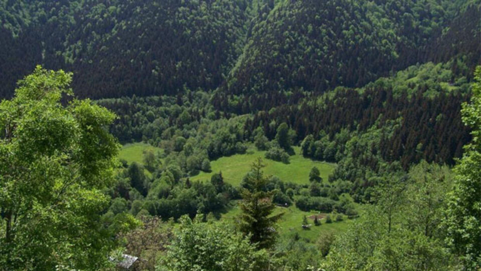 "Maden, Artvin'in beyninde altın ur"