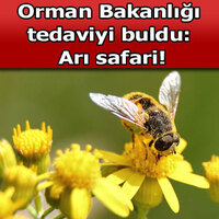 Astım hastalarına müjde!