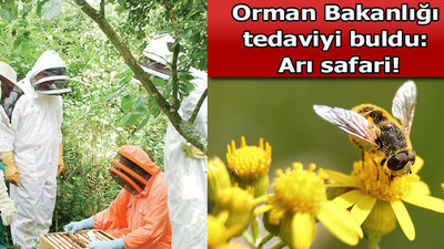 Astım hastalarına müjde!