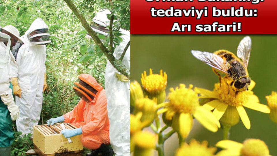 Astım hastalarına müjde!