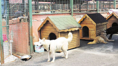 Yedikule'ye 'dikenli tel kamera ve ışık'lı koruma
