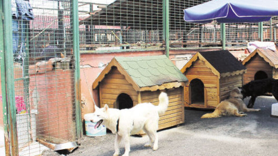 Yedikule'ye 'dikenli tel kamera ve ışık'lı koruma