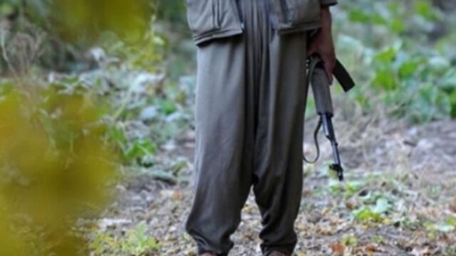 Çukurca'da bir terörist teslim oldu