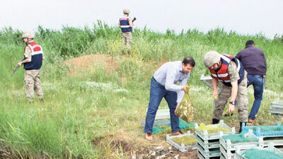 Suriye'deki fabrikalar kapanınca...