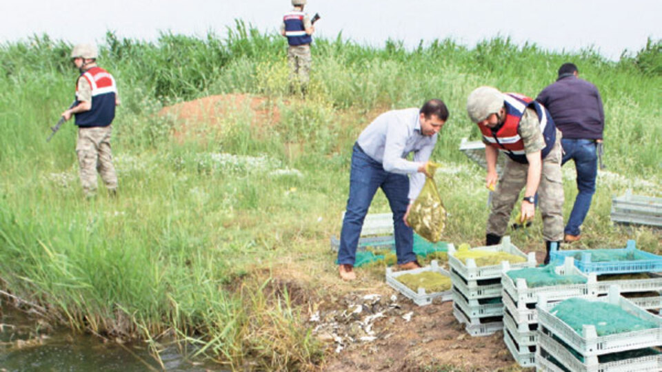 Suriye'deki fabrikalar kapanınca...
