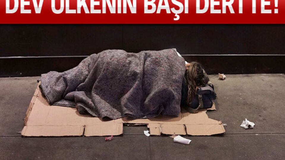 Harvard mezunu sokakta yaşıyor!