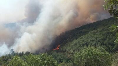 Mersin'deki orman yangını kısmen kontrol altına alındı