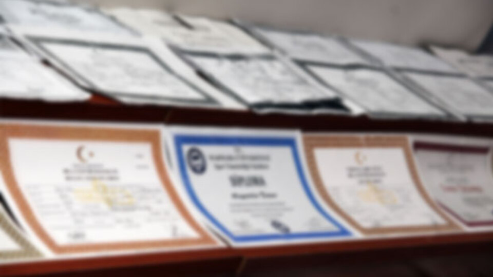 YÖK öyle çakma diploma!