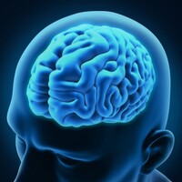 Hafızanızı güçlendirin!