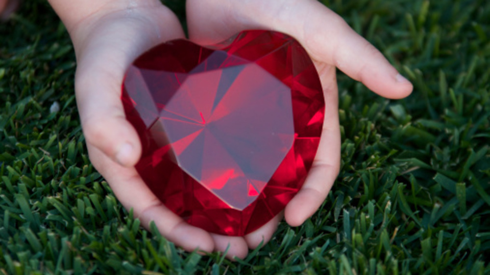 Organlarıyla 6 kişiye umut oldu