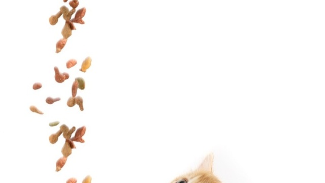 Dünyadan üç kat hızlı büyüyoruz!