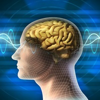 Beynin bilinmeyen sırları!