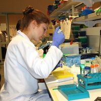 Kanser ilaçları artık...